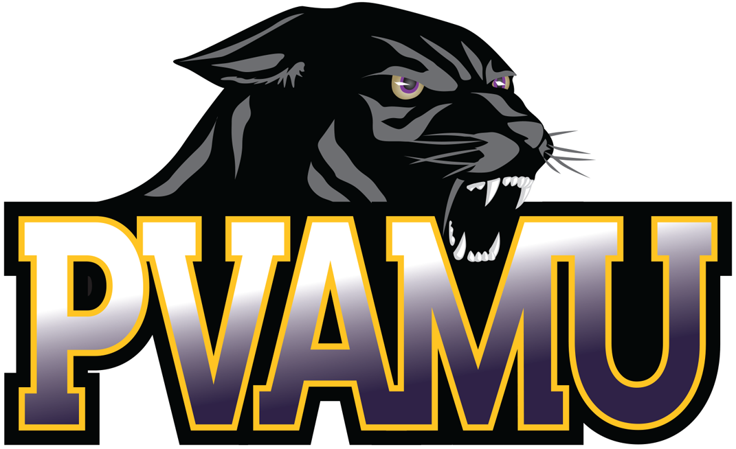 Prairie View A&M Panthers 2016-Pres Primary Logo iron on transfers for T-shirts
